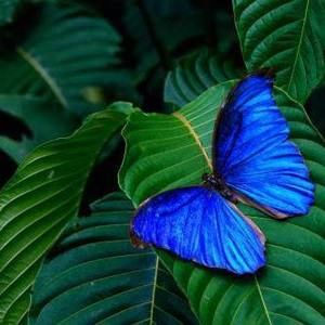 Meet your Posher, Cari